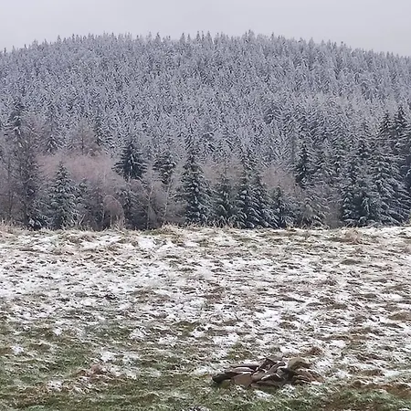 Feriehus Drewniany Daria I Tomek 2 Na 8 Osob Stronie Śląskie