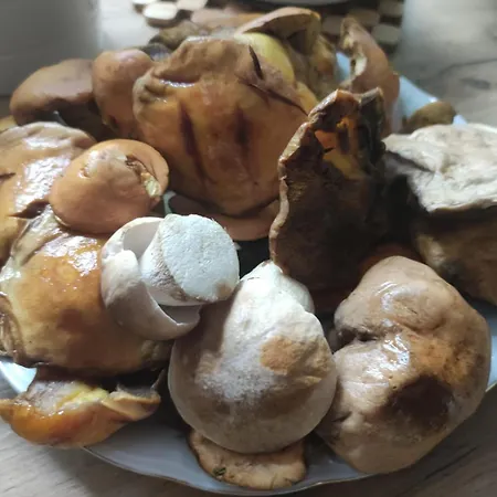 Feriehus Drewniany Daria I Tomek 2 Na 8 Osob *