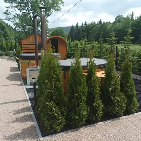 Drewniany Daria I Tomek 2 Na 8 Osób * Stronie Śląskie