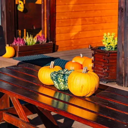 Feriehus Drewniany Daria I Tomek 2 Na 8 Osob