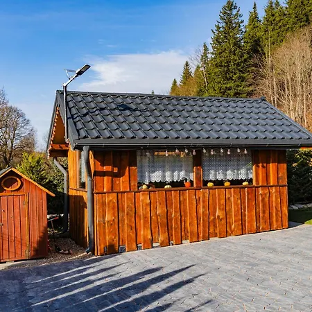 Drewniany Daria I Tomek 2 Na 8 Osób Сasa de vacaciones Stronie Śląskie