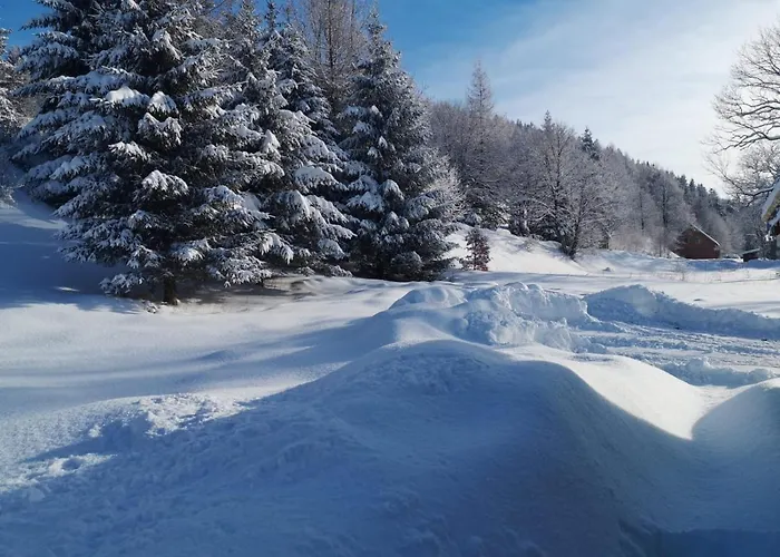 Drewniany Daria I Tomek 2 Na 8 Osob Hébergement de vacances *