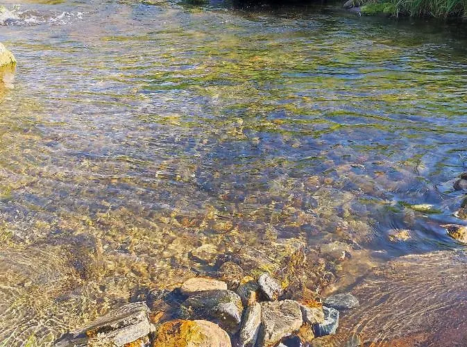 Drewniany Daria I Tomek 2 Na 8 Osob *