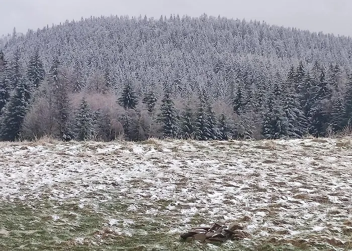 Hébergement de vacances Drewniany Daria I Tomek 2 Na 8 Osob Stronie Śląskie