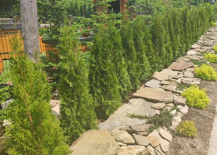 Drewniany Daria I Tomek 2 Na 8 Osob Hébergement de vacances *