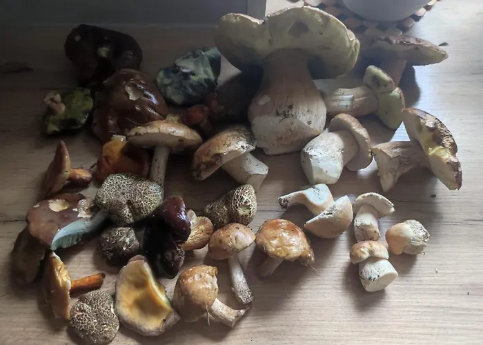 Drewniany Daria I Tomek 2 Na 8 Osob *