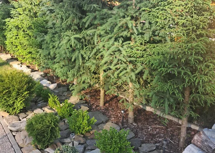 Drewniany Daria I Tomek 2 Na 8 Osob Stronie Śląskie