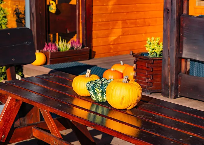 Hébergement de vacances Drewniany Daria I Tomek 2 Na 8 Osob